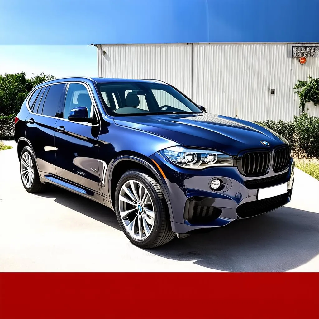 BMW X5