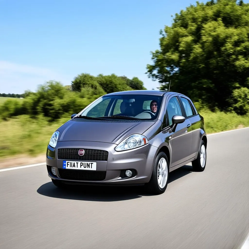 Fiat Punto 2010