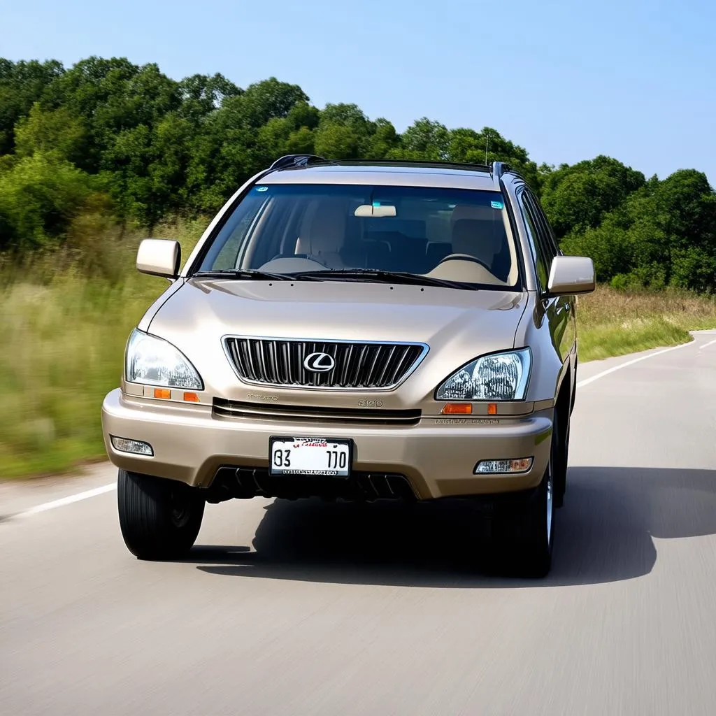 Lexus RX300