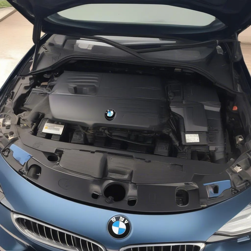 Compartiment moteur BMW