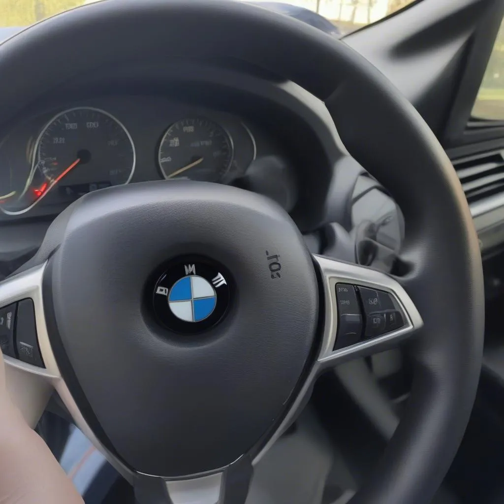 Prise OBD-II sur une BMW X5 2006