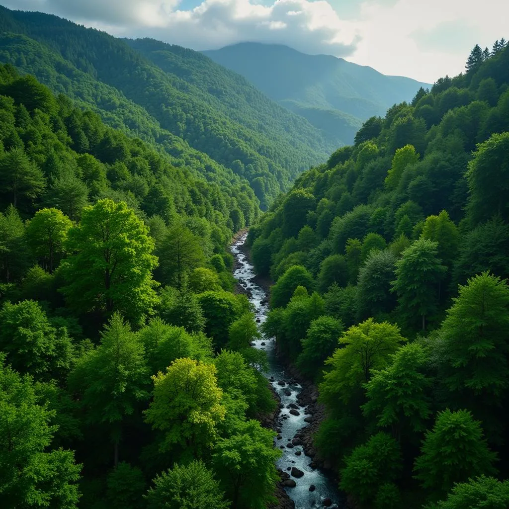 Vue aérienne d'une forêt capturée par le drone Autel Evo Robotics 4K