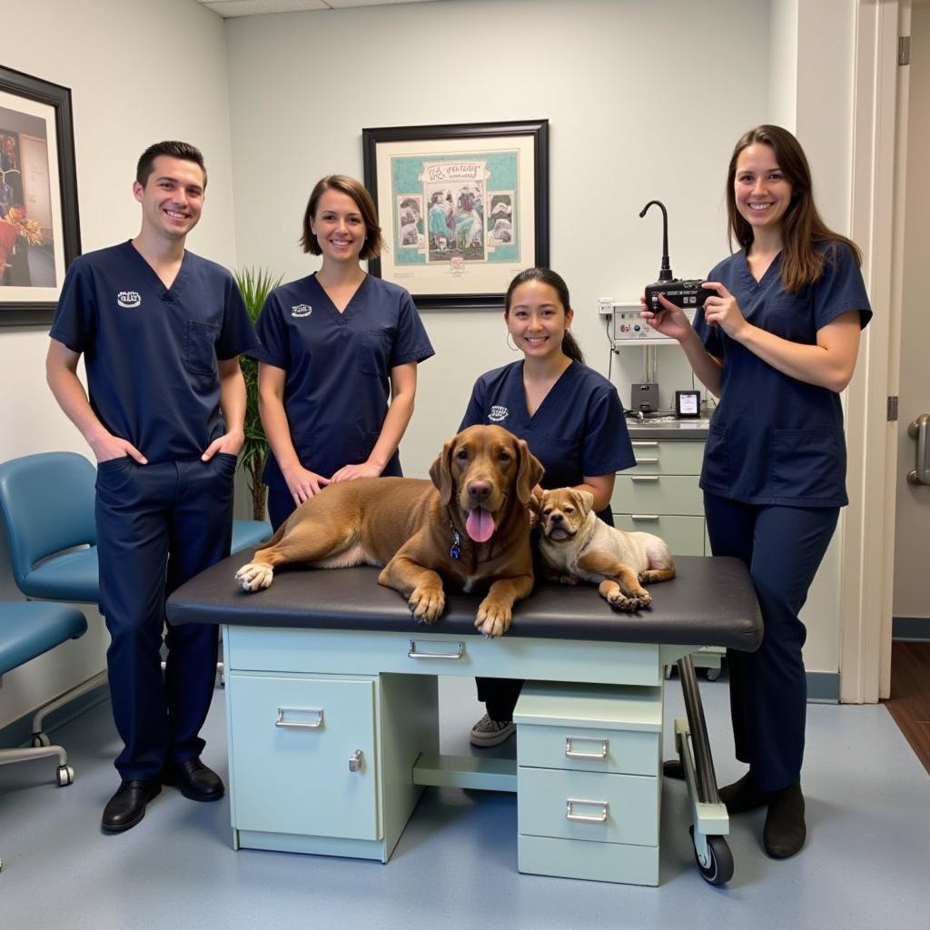 Vétérinaires compétents à l'Elmhurst Animal Care Center