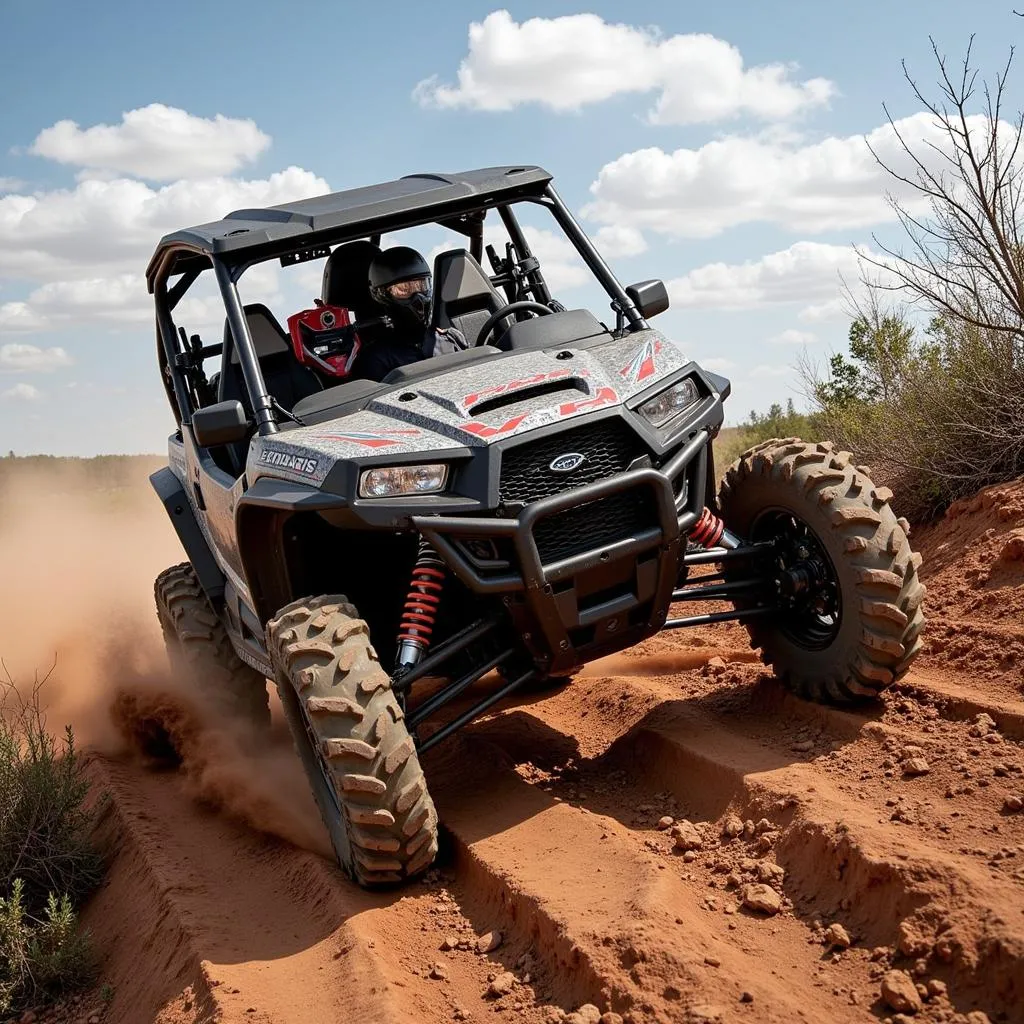 Polaris Razor 2016 en action