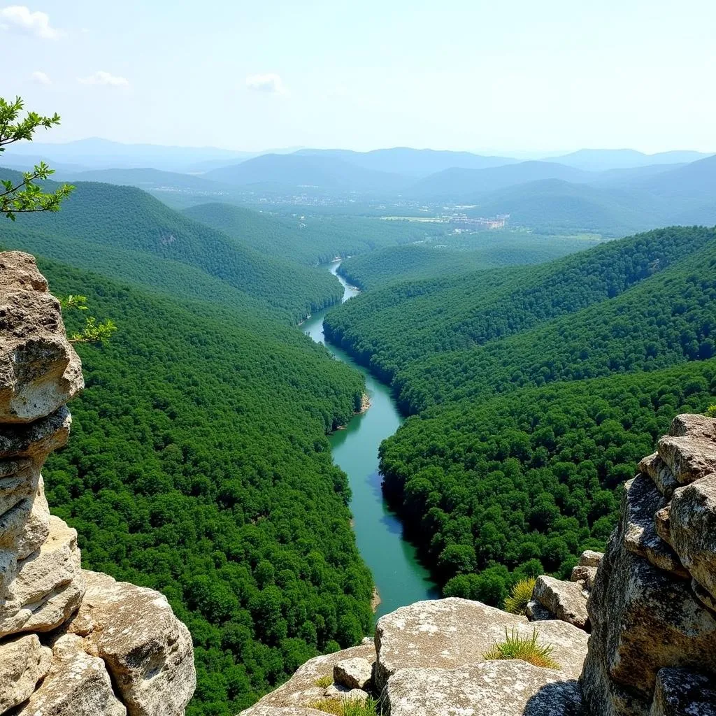 Vue panoramique de la Roche aux Fées